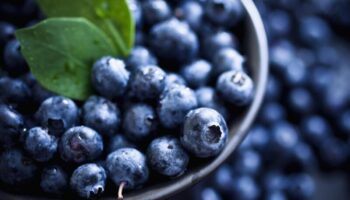 Wellhealthorganic.com:Blueberry-Brain-Boosting-Benefits